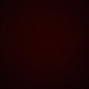 Meet your Posher, Samuel